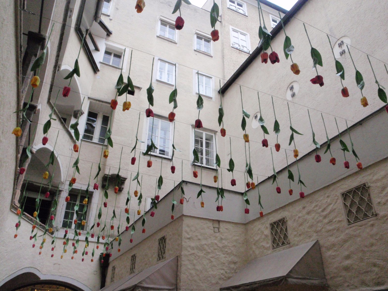 Emory Rosenow blog thoughts of flowers